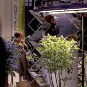 Sixth cannabis business opens in Eatontown