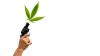 One Joint, No Gun? The ATF Is Rethinking That Rule