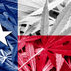 texas flag cannabis leaves laws