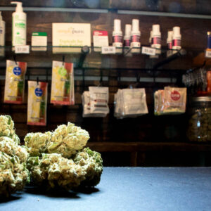 Jan. 22, 2026: Welcoming back the wolverine; Cannabis businesses anxiously wait for federal change