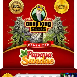 Papaya Sundae Strain Feminized Seeds