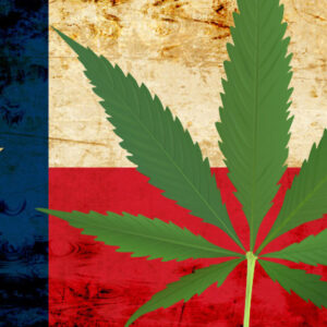 Medical Cannabis Businesses In Texas Evolve With Increase In Demand