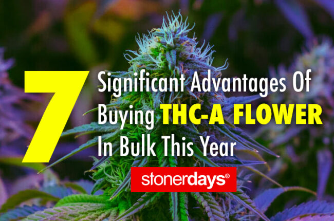 7 Significant Advantages Of Buying THC-A Flower In Bulk This Year
