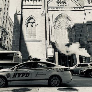 cannabis law enforcement