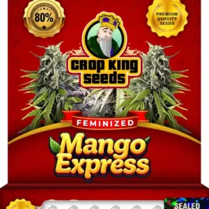 Mango Express Strain Feminized Seeds