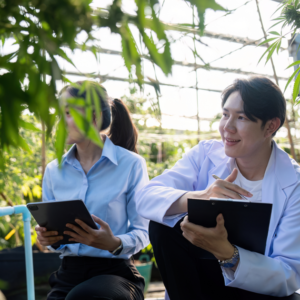 US (CA): Cannabis tax reductions examined