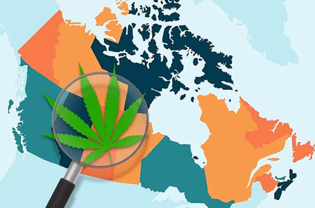 How Does the Legalization of Weed in Canada Impact Its Online Dispensaries?
