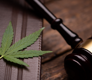 How to Stay Compliant with Cannabis Licensing Regulations in Nevada