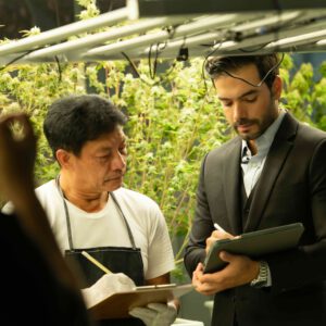 How a Lawyer Can Aid Cannabis Entrepreneurs in Starting and Growing their Business