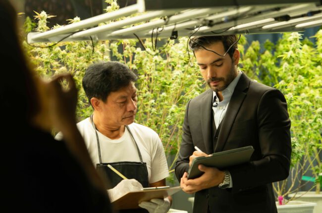 How a Lawyer Can Aid Cannabis Entrepreneurs in Starting and Growing their Business