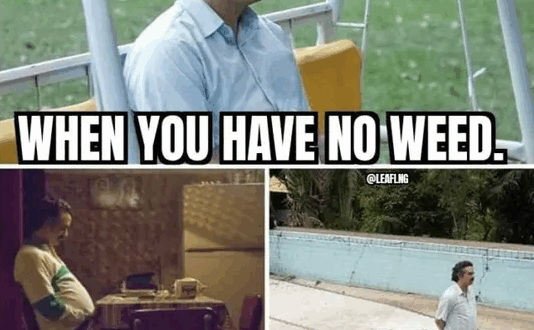 Marijuana Meme of the Day