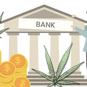 Cannabis Banking Challenges: How Businesses Can Overcome Them