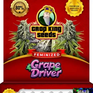 Grape Driver Strain Feminized Seeds