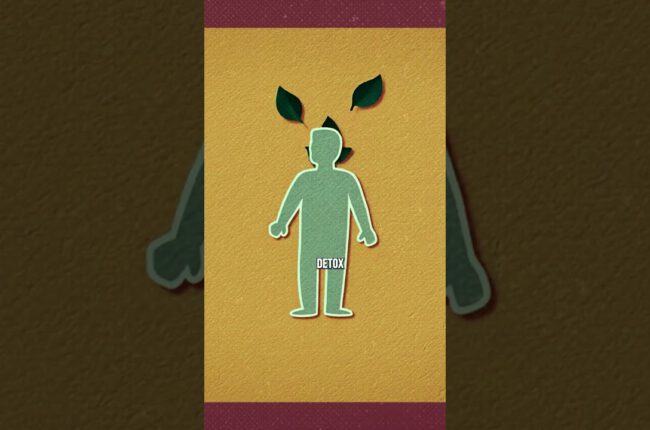 How THC Detox Really Works