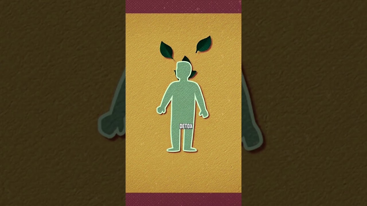 How THC Detox Really Works