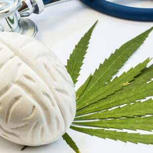 Study: Lifetime Cannabis Use Linked to Greater Cognitive Performance in Aging Populations Study: Lifetime Cannabis Use Linked to Greater Cognitive Performance in Aging Populations