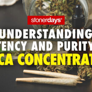 Understanding Potency and Purity in THCA Concentrates