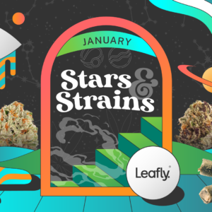 Star signs and cannabis strains: January 2026 horoscopes