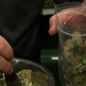 Medical cannabis advocates say legislative bill would hurt patients