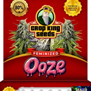 Ooze Strain Feminized Seeds