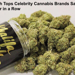 Khalifa Kush Tops Celebrity Cannabis Brands Sales List for Second Year in a Row