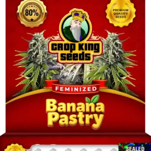Banana Pastry Strain Feminized Seeds
