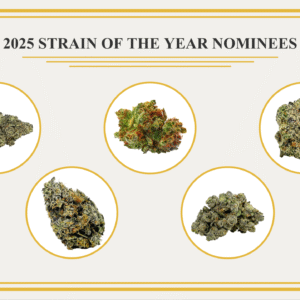 Leafly Strain of the Year nominees