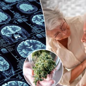 THC may protect against Alzheimer’s when paired with this drug