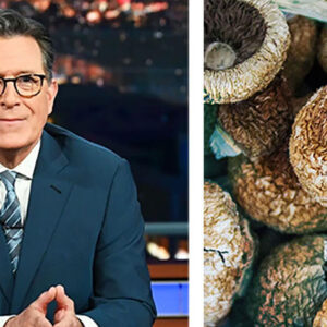 Stephen Colbert Recalls 'Horrible' Trip on Magic Mushrooms