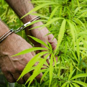 Alabama Lawmakers Pass Bill To Increase Penalties For Smoking Marijuana In A Car Where A Child Is Present