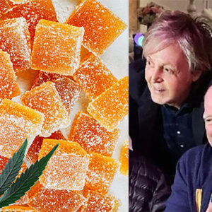 Jimmy Buffett's 'The Gummies Just Kicked In' Features Paul McCartney, Inspired by Macca's Wife