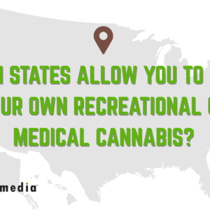 Which States Allow You to Grow Your Own Recreational or Medical Cannabis?