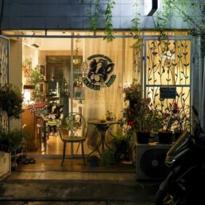 Subscribe Placeholder