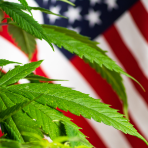 Cannabis rescheduling news