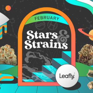 Star signs and cannabis strains: February 2026 horoscopes