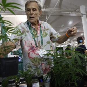 People attend 2026 Hawaii Cannabis Expo in Honolulu