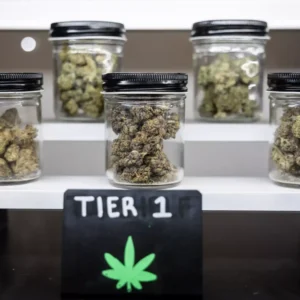 Jars of ATX Organics THCA hemp flower are pictured on display in front of a sign that says "Tier 1" with a marijuana leaf drawn on it.