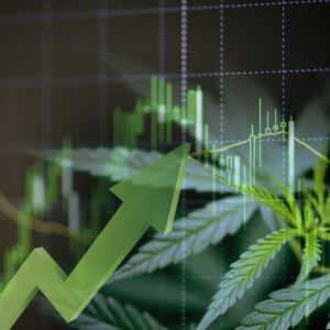TLRY vs. CGC: Which Cannabis Stock is the Better Investment Now? - January 30, 2026