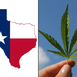 Bipartisan Texas Lawmakers Want Hemp THC Regulated Instead Of Banned, With GOP Rep Saying Market Is 'Too Big To Ignore'