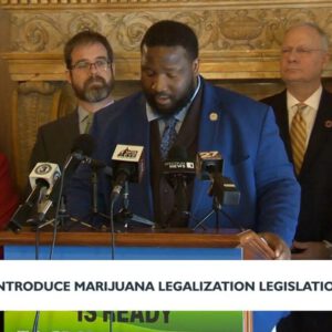 Wisconsin Democrats renew push for full cannabis legalization | News