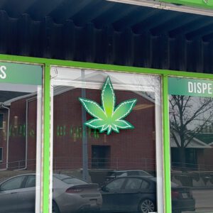 Nebraska Medical Cannabis Commission Chairwoman resigns