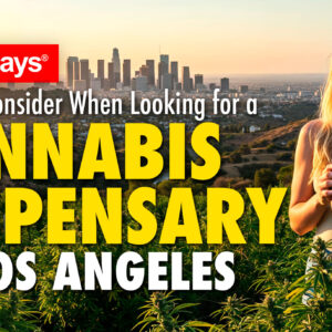 What to Consider When Looking for a Cannabis Dispensary in Los Angeles