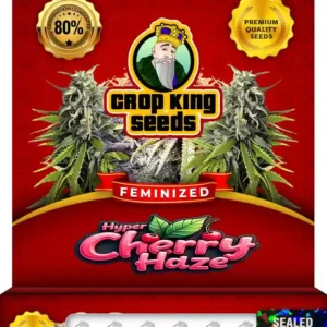 Hyper Cherry Haze Feminized Seeds