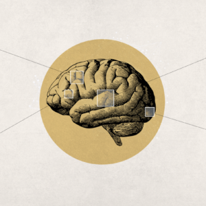 Cannabis Boosts Brain Volume, Cognition in Older Adults