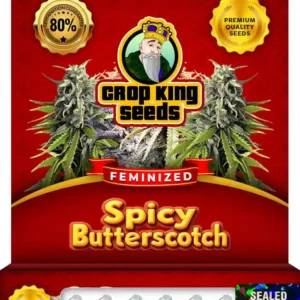 Spicy Butterscotch Strain Feminized Seeds