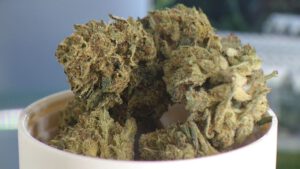 (Spectrum News 1)