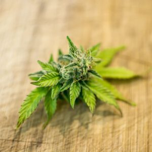 Nebraska Governor Accepts Applications For Medical Cannabis Commission Opening Following Chair’s Resignation