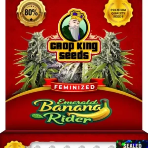 Emerald Banana Rider Strain Feminized Seeds