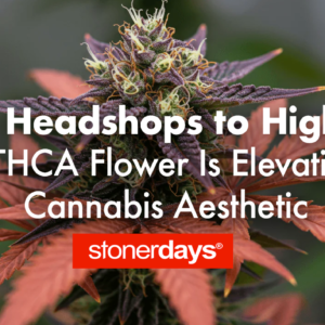 From Headshops to High-End: How THCA Flower Is Elevating the Cannabis Aesthetic