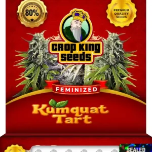 Kumquat Tart Strain Feminized Seeds